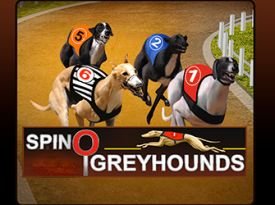Spinosports Greyhounds