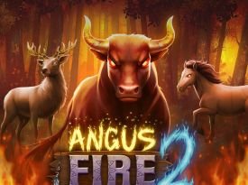 Angus Fire 2