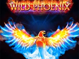 Wild Phoenix