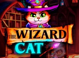 The Wizard Cat