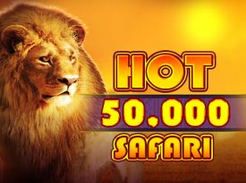 Hot Safari 50,000